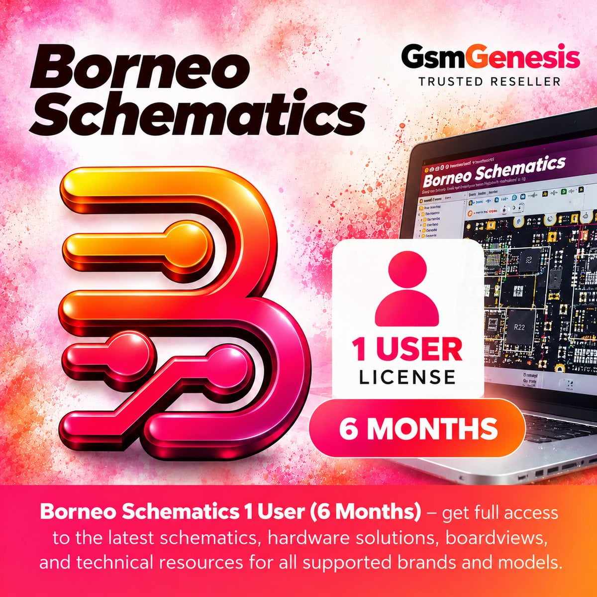Borneo Schematics 6 Months