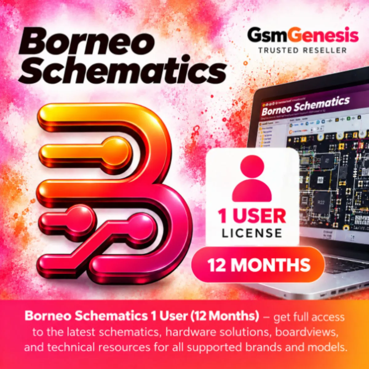 Borneo Schematics 12 Months