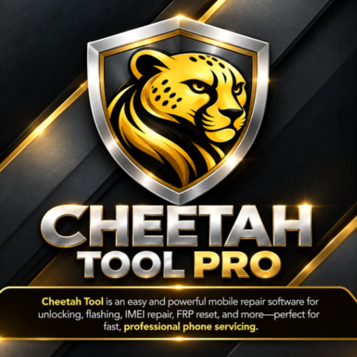 Cheetah Tool 12 Months