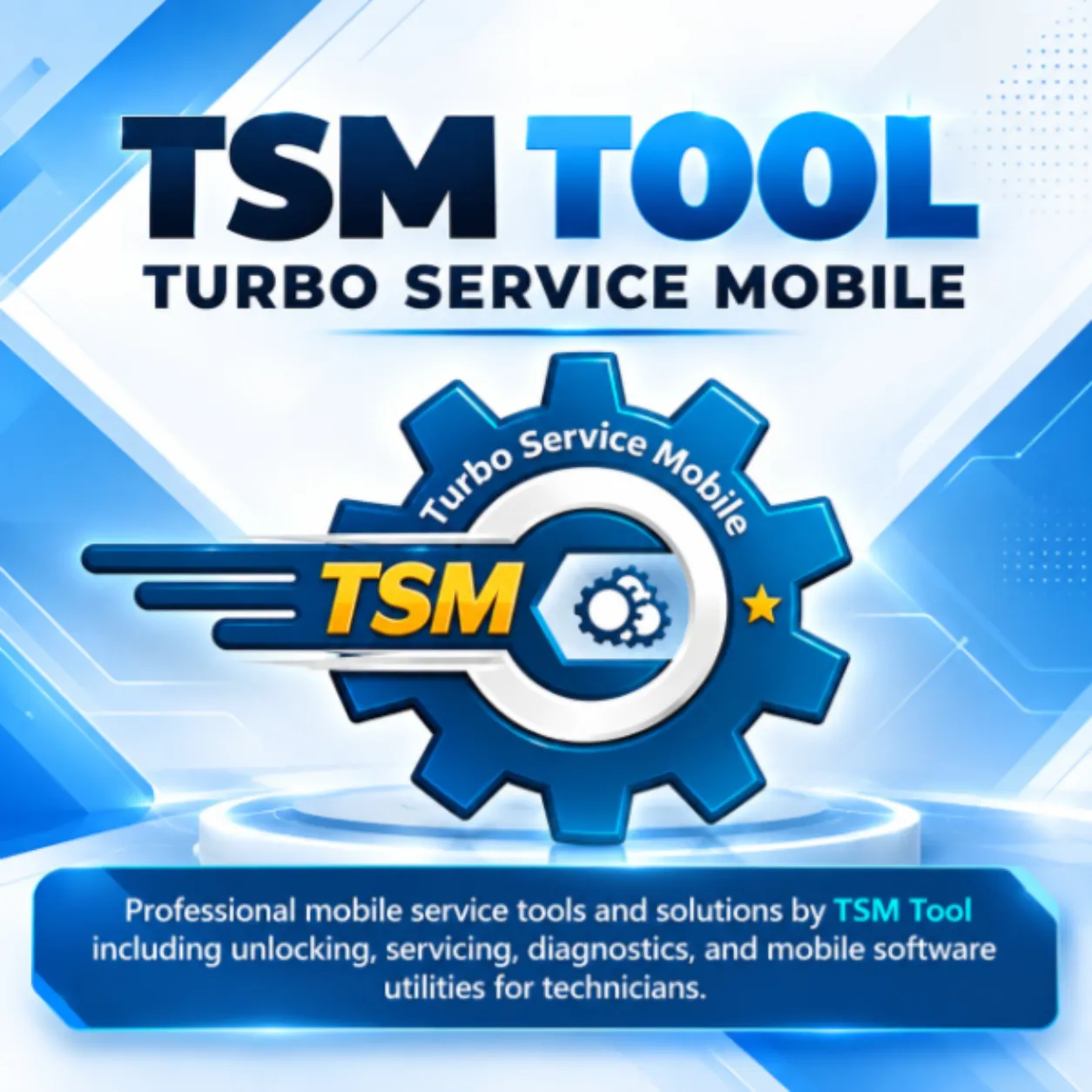TSM Tool 12 Months
